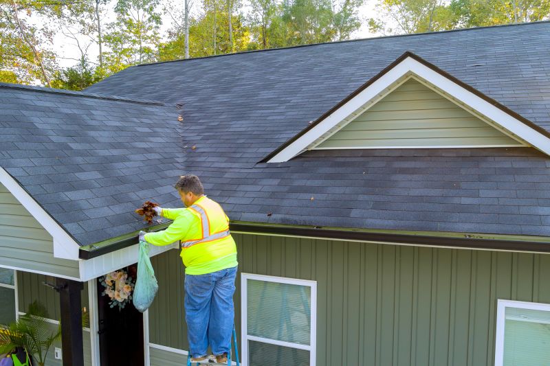Gutter Maintenance Specialists